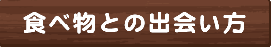 食べ物との出会い方